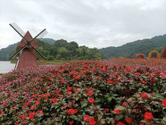 -广州市石门国家森林公园