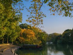 -西溪国家湿地公园