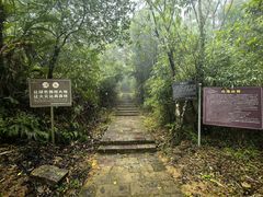 -海南热带雨林国家公园吊罗山景区