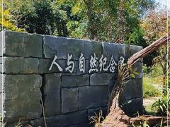 -普洱太阳河森林公园