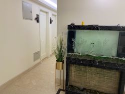 -VE专注问题肌·赛诺龙&科学美肤中心