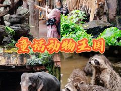 -长鹿旅游休博园