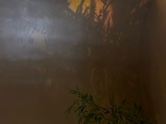 -宁采臣Sleep·采耳·SPA放松馆(湖里万达店)