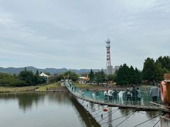 -羊亭河湿地公园