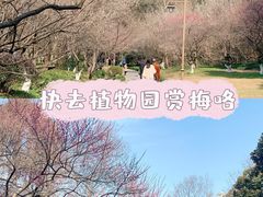 -杭州植物园