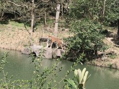 -宁波野生动物园