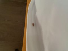 -美的鹭湖森林度假区