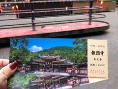 -峨眉山报国寺
