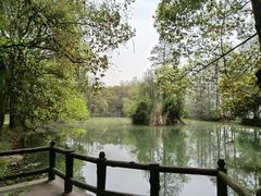 -东湖落雁景区