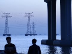 -宝安西湾红树林湿地公园