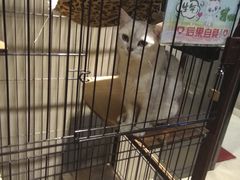 -津菜宋记老房子(鼓楼店)