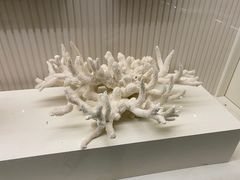 -青岛贝壳博物馆