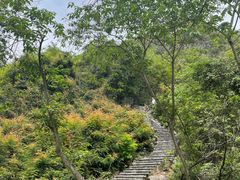 -南宁花花大世界景区