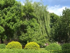 -仁和公园(顺义区)