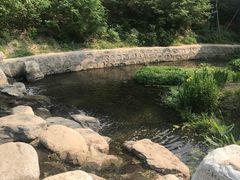 -白水寺森林公园