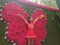 -郑州方特水上乐园