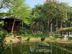 -深圳国际园林花卉博览园