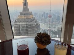 -The lounge 柏悦酒店大堂酒廊(上海环球金融中心店)