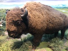 -陕西自然博物馆