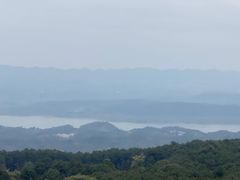 -铁山坪森林公园