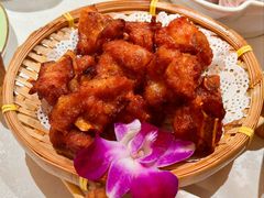 -菌林天下·野生菌汤锅