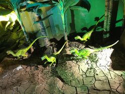 -恐龙探索乐园(磁器口店)