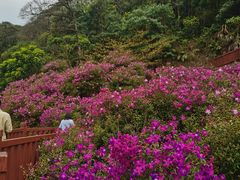 -广州市石门国家森林公园