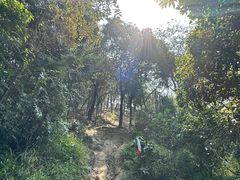 -黄埔油麻山森林公园
