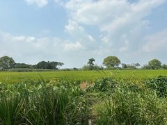 -七的湖·晚芳亭·阳澄湖农家菜·大闸蟹(莲花岛店)