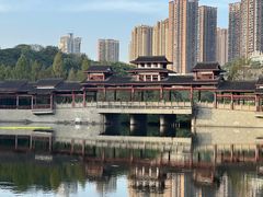 -重庆彩云湖湿地公园