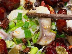 -百岁鱼(七一路店)