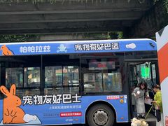 -帕帕拉兹宠物(亚洲旗舰店)