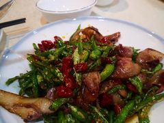 尖椒炒拱嘴儿-蒲氏烤鸭(百寿路店)