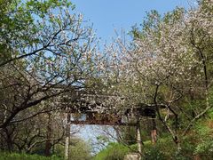 -杭州半山国家森林公园