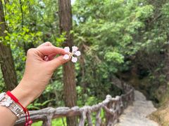 -梭布垭石林景区