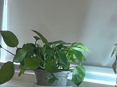 -艾型动健身游泳(环宇城店)