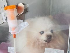 -北京观赏动物医院·24小时大型综合·猫专科·异宠专科