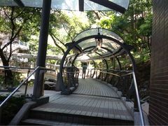 -香港大学