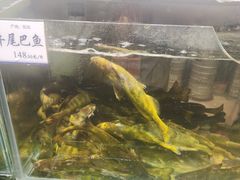 -胖姐渔村(中源大道店)