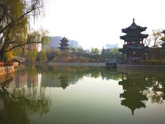 -迎泽公园