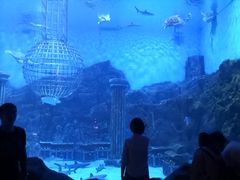 -芜湖新华联大白鲸海洋公园