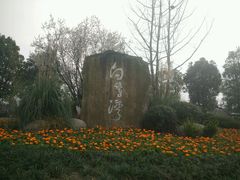 -白鹭湾湿地公园