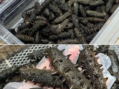 -大连双兴商品城