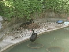 -上海虹桥迎宾馆