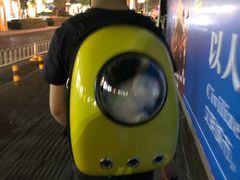 -喵zoo家庭繁育猫舍(尖东智能花园店)