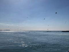 -海驴岛(荣成市)