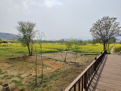 -燕风楼烤鸭店(建设总店)