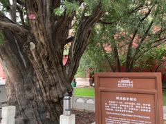 -北京市劳动人民文化宫(太庙)