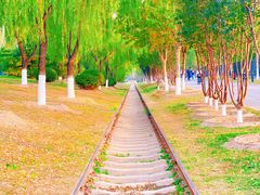 -永定河休闲森林公园