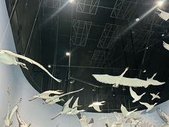 -中国湿地博物馆